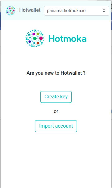 Figure 3. The starting screen of the Hotwallet extension to the browser